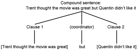 phrase structure diagram showing split of compound sentence into clause 1, coordinator and clause 2